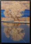 12. Mirror