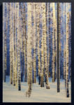 14. Forest